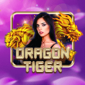 Dragon Tiger bigwin casino live casino game