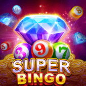 Super Bingo bigwin casino hot game